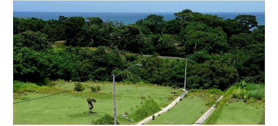 Graded lots with street lighting installed, ocean visible beyond the treeline